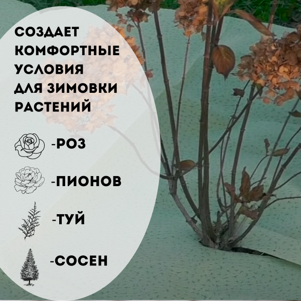 Укрывной материал с УФ Спанграм хвойный зима 100 г/м2, 2,4 х 12 м (Товары, которые скоро пропадут из магазина)