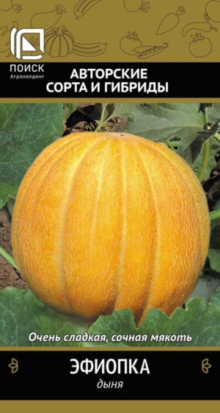 Дыня Эфиопка Поиск 1 кг