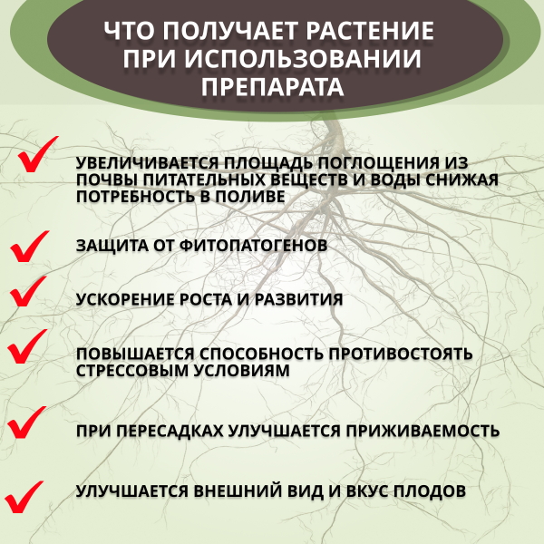 БиоМикориза 20 г, 5шт БиоМикориза 20 г, 5шт