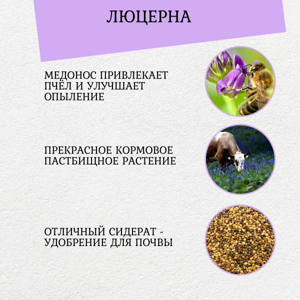 Сидерат Люцерна 250 г