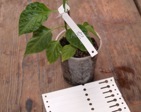 Навесная бирка петелька 20*254 мм 10 шт белая