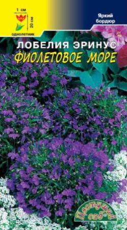 Семена Лобелия Море Фиолетовое Цветущий сад