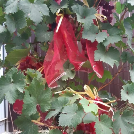 Мешочки сетчатые от ос для винограда 18 х 34 см, 25 шт Благодатное Земледелие