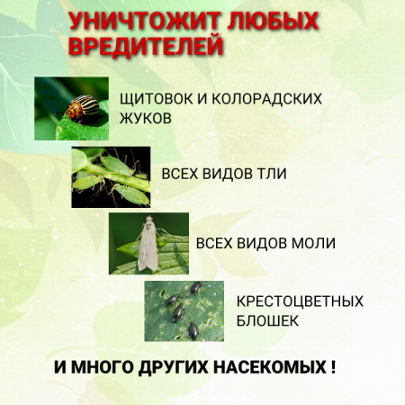 Батрайдер 10 мл