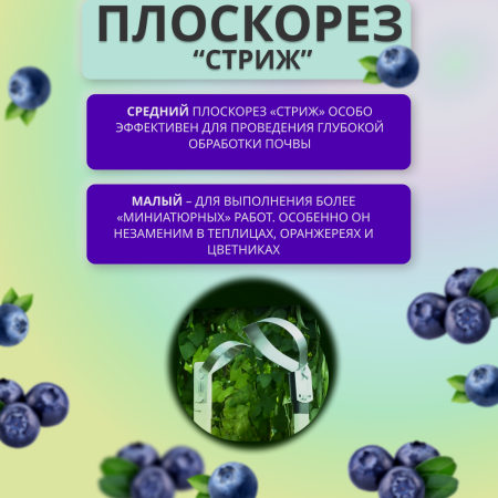 Плоскорез Стриж средний и малый без черенка