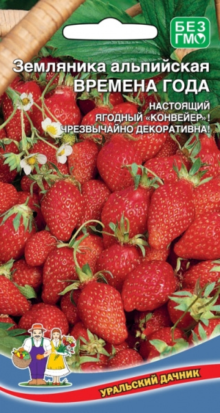Семена Земляника Времена года - альпийская Уральский Дачник