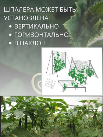 Сетка шпалерная для вьющихся растений 2х10 м ячейки 15х17 см