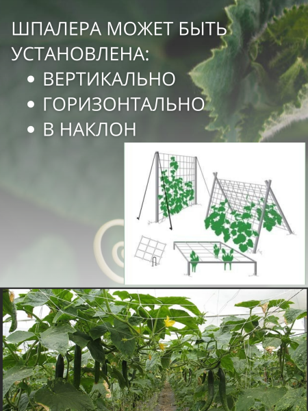 Сетка шпалерная для вьющихся растений 2х10 м ячейки 15х17 см, 2 шт