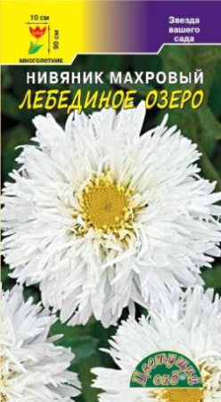 Семена Нивяник Лебединое Озеро махровый Цветущий сад