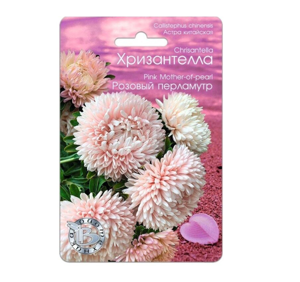 Семена Астра китайская Хризантелла Розовый перламутр АГ Биотехника