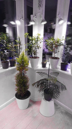 Фитолампа светодиодная Е27 12W Фулл Комфорт