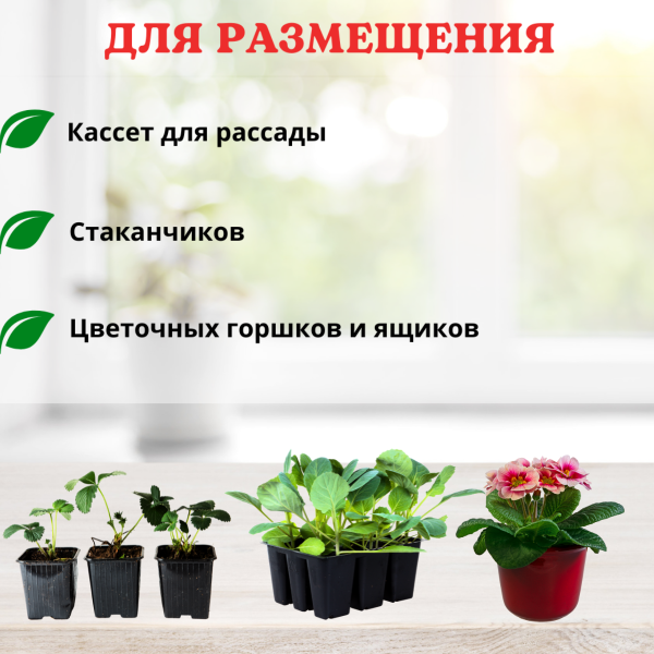 Поддон под рассадные горшки 40х18х2 см Поддон под рассадные горшки 40х18х2 см
