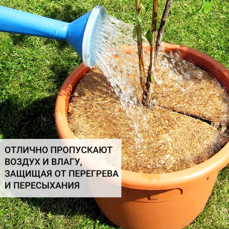 Приствольный круг кокосовый для деревьев 30 см, 5 шт