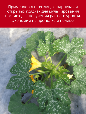 Укрывной материал Грядка в порядке для клубники и овощей с УФ стабилизатором бело-чёрный мульчирующий 80 г/м2, 1,6 х 5 м Благодатное Земледелие