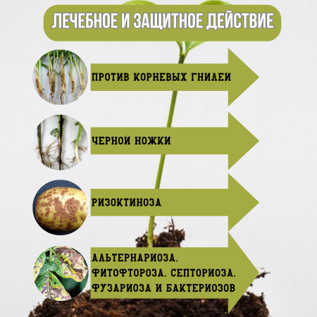 Микохелп Биокомплекс-БТУ 500 мл