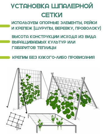 Сетка шпалерная 2x10 м размер ячейки 15х17 см зеленая LISTOK