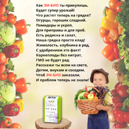 Микробиологический препарат Восток ЭМ-1 ЭМ-БИО концентрат 30 мл