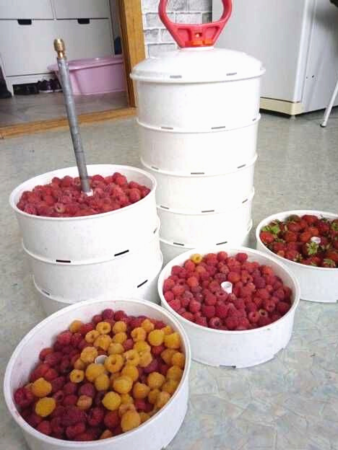 Ведро секционное для хранения и перевозки ягод ВС-5, 8 л