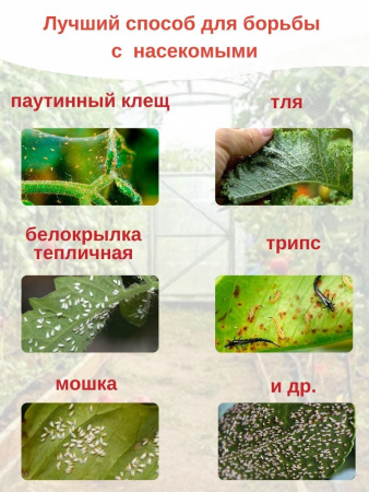 Сульфуратор ПС 1 Гвоздика