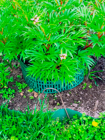 Защитно-декоративное ограждение, 4 шт, ширина 34,5 см, высота 20,5 см