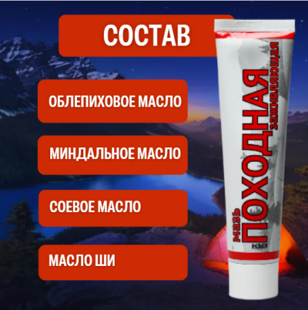 Мазь Походная заживляющая 40 г, 3 шт