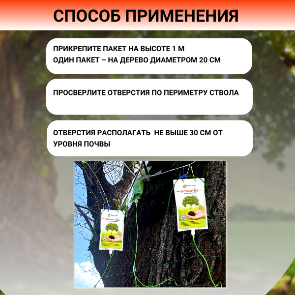 Капельница для внутристволовых инъекций Витамар Full экстракт морских водорослей с фуллереном для взрослых деревьев 1 л