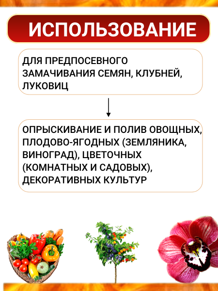 Янтарная кислота + Хитозан, 5 шт по 10 г Янтарная кислота + Хитозан, 5 шт по 10 г