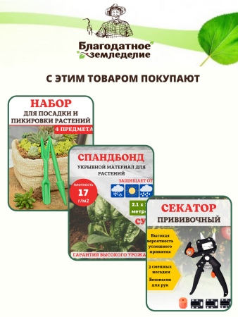 Арка садовая металлическая разборная Лесенка h 237 см, зеленая