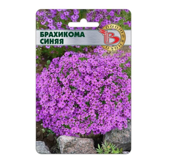 Семена Брахикома Синяя АГ Биотехника Семена Брахикома Синяя АГ Биотехника