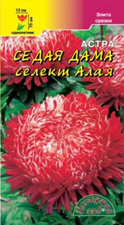 Семена Астра СЕДАЯ ДАМА селект АЛАЯ Цветущий сад
