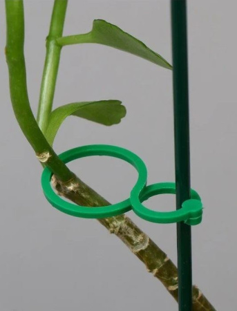 Крепеж для подвязок 25 шт