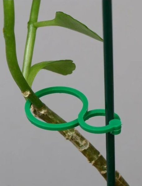 Крепеж для подвязок 25 шт