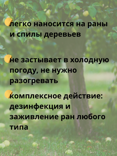 Раннет паста-замазка для заживления ран деревьев 600 г Раннет паста-замазка для заживления ран деревьев 600 г