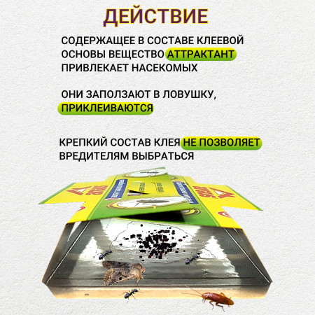 Argus клеевая ловушка от тараканов Домик, 5 уп по 4 шт