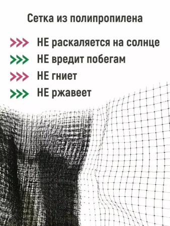 Сетка от птиц черная 2*5 м с ячейкой 6х6 мм