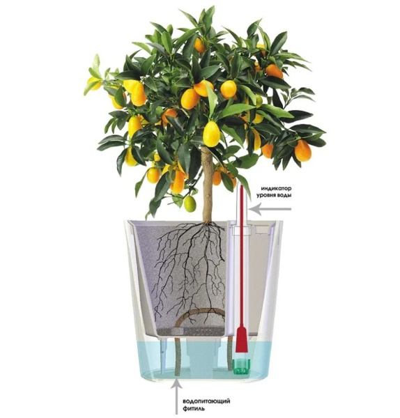 Горшок Комфорт 12 л ПИ-33-6ТХ Оливковый Горшок Комфорт 12 л ПИ-33-6ТХ Оливковый