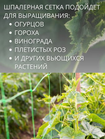 Сетка шпалерная для вьющихся растений 2х10 м ячейки 15х17 см
