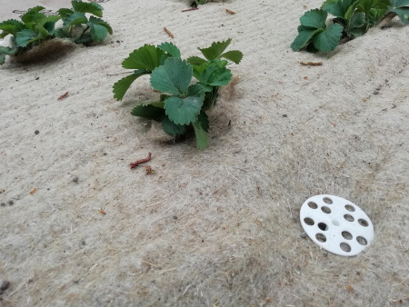 Укрывной материал льняной МульчаЛён 1 х 3 м Благодатное Земледелие