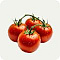 Томат