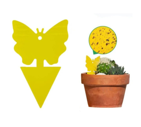 Клеевая ловушка для летающих и ползающих насекомых в горшки комнатных цветов 12 шт