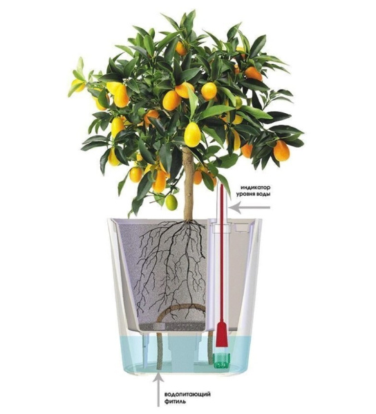 Горшок Комфорт 12 л ПИ-33-13ТХ Какао Горшок Комфорт 12 л ПИ-33-13ТХ Какао