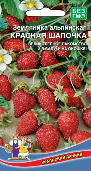 Семена Земляника Красная шапочка - альпийская Уральский Дачник Семена Земляника Красная шапочка - альпийская Уральский Дачник