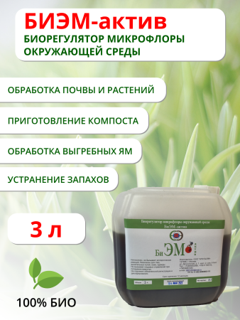 Препарат БиЭМ актив 3 л