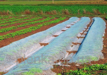 Укрывной материал Грядка в порядке с УФ стабилизатором белый 17 г/м2, 1,6 х 10 м Благодатное Земледелие