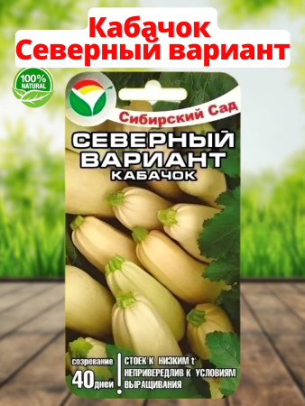 Семена Кабачок Северный вариант 5 шт Сибирский сад