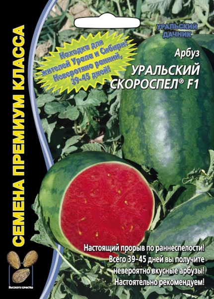 Семена Арбуз Уральский скороспел Уральский Дачник Семена Арбуз Уральский скороспел Уральский Дачник
