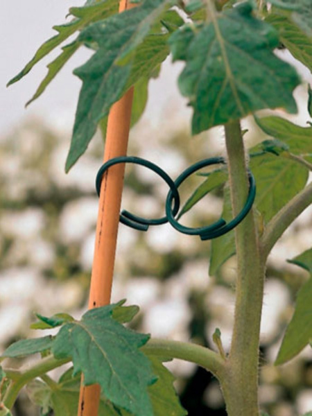 Кольца для подвязки растений и цветов 50 шт