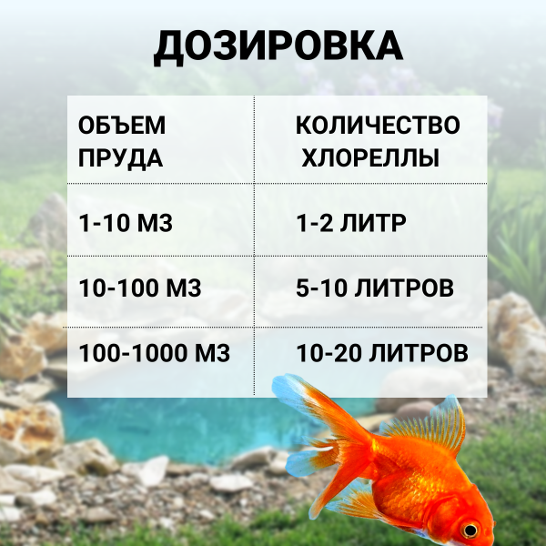 Живая водоросль для биологической очистки пруда Chlorella Pond 1 л