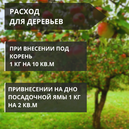 Почвоулучшитель Reasil для восстановления плодородия почв, 2 шт по 3 кг