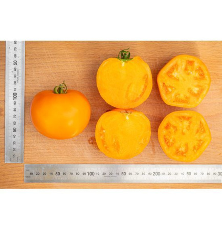 Семена Томат Сувенир F1 10 шт Партнер